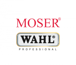 logo_wahl_group