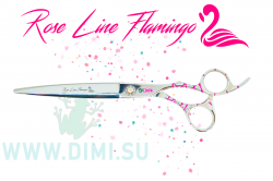 7.5-pryamie-FL-Logo8
