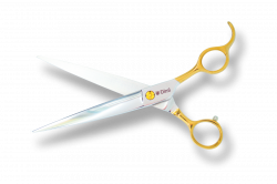 80-gold-2-new-