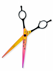 AA-75P:11