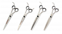 ALPHA-SET:NEW
