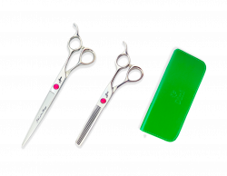 BV-set-1