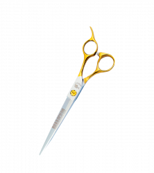 Barracuda-gold-H22-704