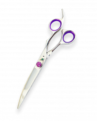 DPS-70C:1