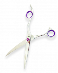 DPS-70C:2
