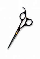 DY-55