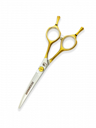 H23-60C-1