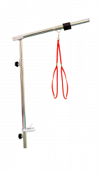 Kronshtein8