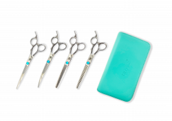 ST4-SET