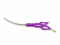 Violet--CC-PNG