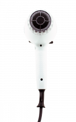White-560015