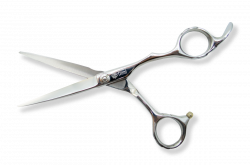 YL-160L-2