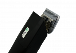 black-801-1