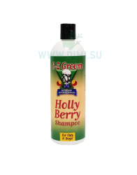 holly-473logo